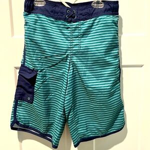 Striped Blue and Green Men's Swim Shorts